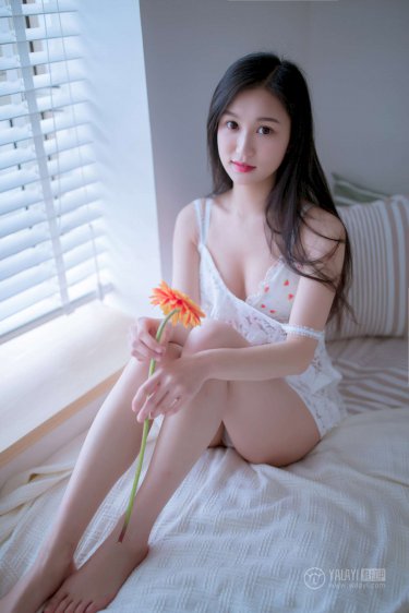 箭在弦上电视剧