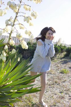 李华月血恋未删减版