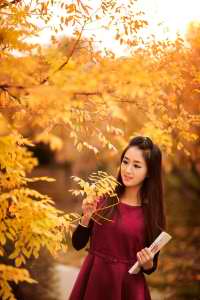 嫂夫人的玉缝为君开什么意思?